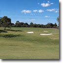 golf course surround net